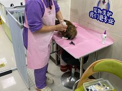 -北京观赏动物医院·24小时大型综合·猫专科·异宠专科