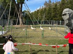 -上海长兴岛郊野公园