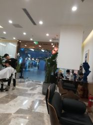 -DH2 hair