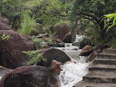 -广州白江湖森林公园