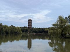 -北京大学赛克勒考古与艺术博物馆