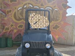 -大连海昌发现王国主题公园