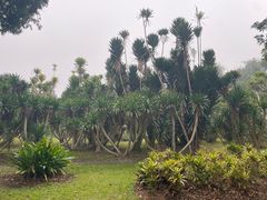 -中国科学院西双版纳热带植物园