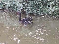 -天目湖涵田半山温泉水乐园