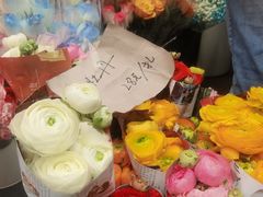 -越秀西湖花市(广州城市广场花卉店)