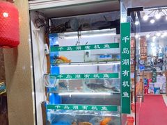 -浔味·山屿湖·正宗淳牌全鱼宴老字号