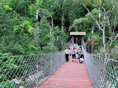 -海南热带雨林国家公园吊罗山景区