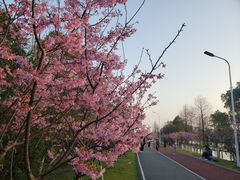 -艾溪湖湿地公园