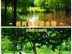 -上海长兴岛郊野公园