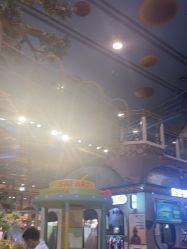 点击看大图 -卡通尼·Safari非洲探索乐园·生日会(金桥国际商业广场店)