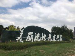 -蒲河岛湿地公园
