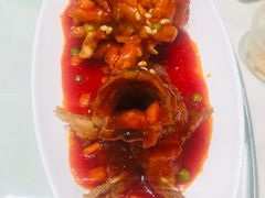 -蝶园·装修中(BFC外滩金融中心店)