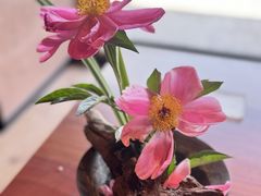 -龙吟山房(青龙山庄店)