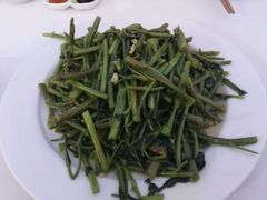 空心菜-越海渔村