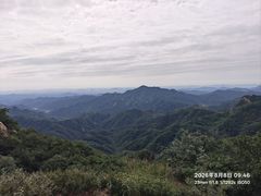 -六里坪国家森林公园