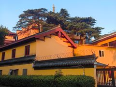 -北极阁公园