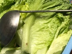 生菜-威邵鸡煲(西华路总店)