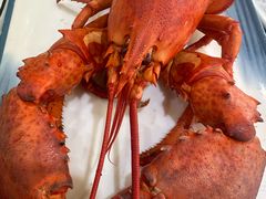 -抹直口特色菜馆(一店)