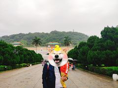 -台北故宫博物院