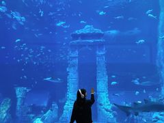 -南昌融创海世界
