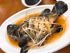 -海港酒店(海鲜美食城店)
