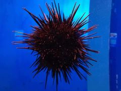 -多彩贵州城极地海洋世界