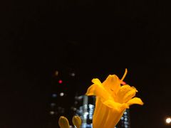 -村上一屋(望京店)