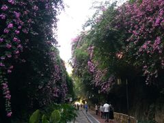 -铁路文化公园