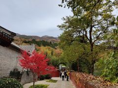 -红螺寺