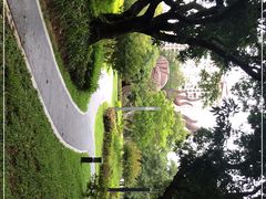 -四海公园(南山区)