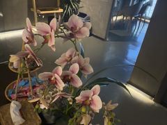 -施奈儿.洗头頭療.按摩SPA.采耳(上梅林店)