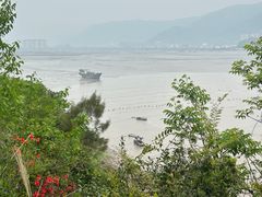 -北岐滩涂