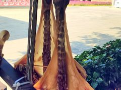 -御霞苑泥烩鸡休闲农庄