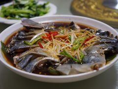 -煲来饱去冷水鱼