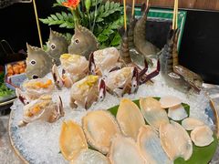 -禄婶鸡煲·打边炉