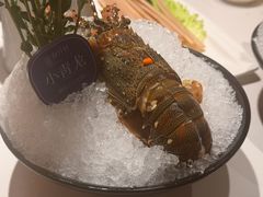 -海月轩海鲜豆捞(紫金塔店)