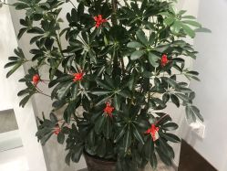 -痘院长·祛痘·科技美肤