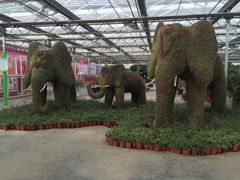 -天源吉布世温泉水乐园