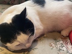 -么么咖啡(燕郊店)