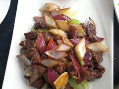 -云中小雅