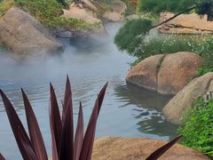 -罗红摄影艺术馆