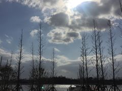 -滴水湖帆船营地