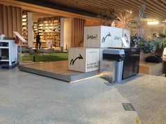 -Seesaw Coffee(朝阳大悦城店)