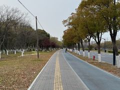 -上海海事大学(临港校区)