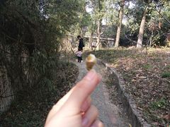 -张公山寨景区