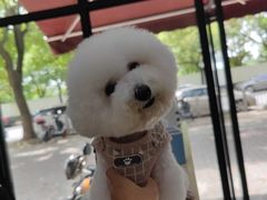 -艾贝尔宠物诊疗