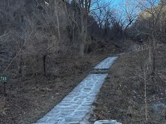 -北京凤凰岭