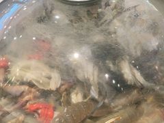 -半岛听涛蒸汽海鲜自助(K11店)