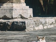 -四门塔风景区