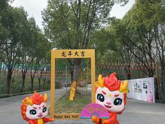 -上海海湾国家森林公园